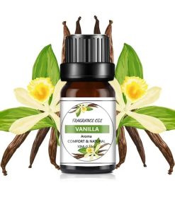 Fragrance Oil - Vanilla