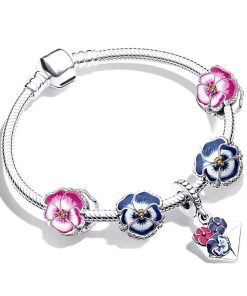 Silver bracelet + 5 pendants