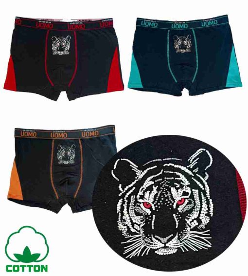 Boxer Wild cat
