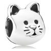 Pandora friendly cat
