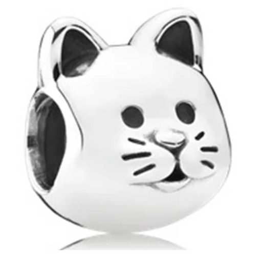 Pandora friendly cat
