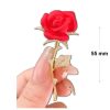 Crystal gold brooch: Red rose