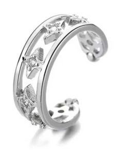 Earrings Zircon line