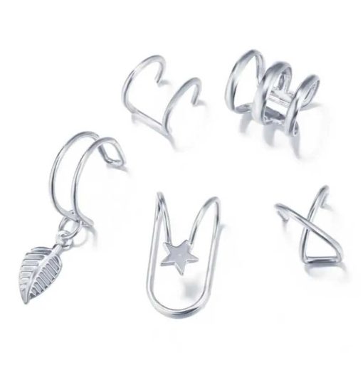 Silver 5 earrings