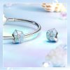 ring Blue Crab shell
