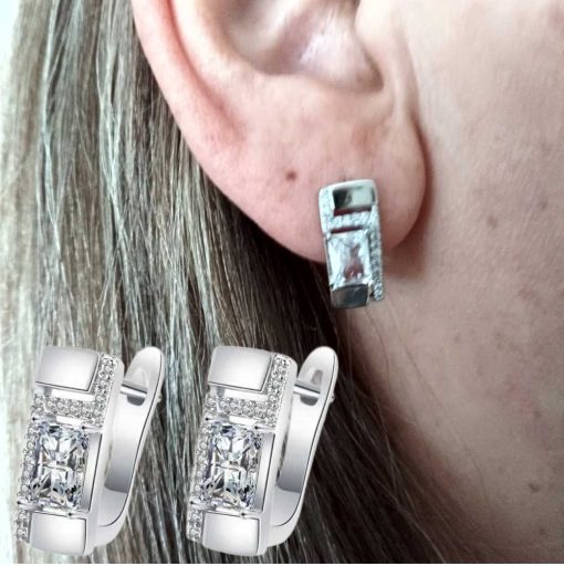 Silver Earrings big zirconia