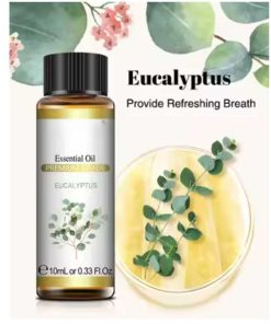 Essential Oil - Eucalyptus