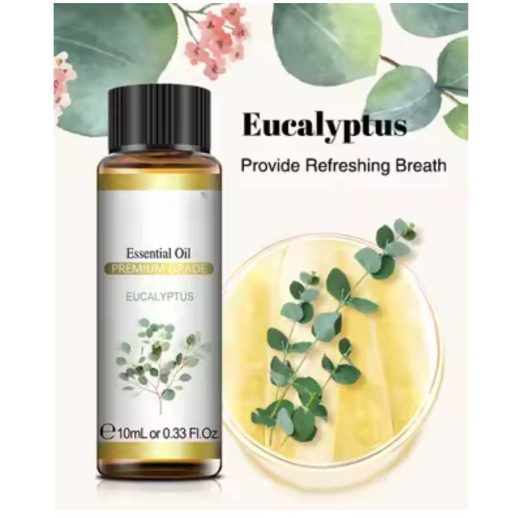 Essential Oil - Eucalyptus