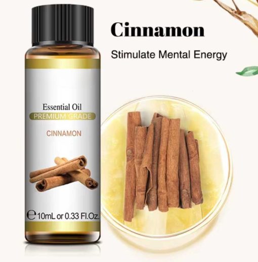 Essential oil Cinnamon