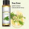 Essential oil Tea tree