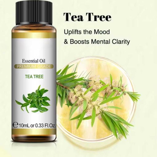 Essential oil Tea tree