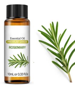 Essential oil Rosemary