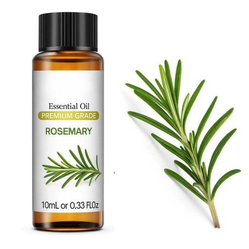Essential oil Rosemary