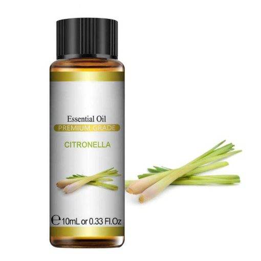 Essential oil Citronella