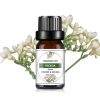 Fragrance Oil - Freesia