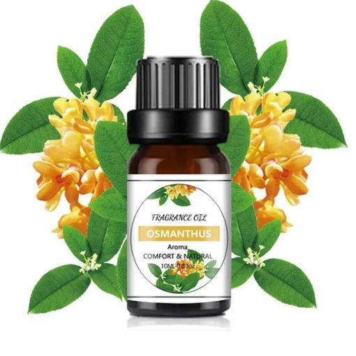 Fragrance Oil - Osmanthus