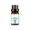 Fragrance Oil - Shangri-La