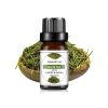 Fragrance Oil - White tea