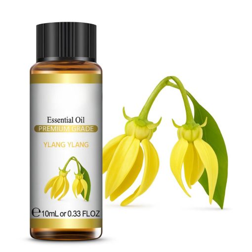 Essential Oil - Ylang Ylang