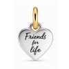 Pendant Friends for life
