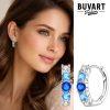 Earring blue stones