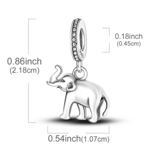 925 sterling silver charm