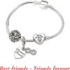 Friends forever detailed